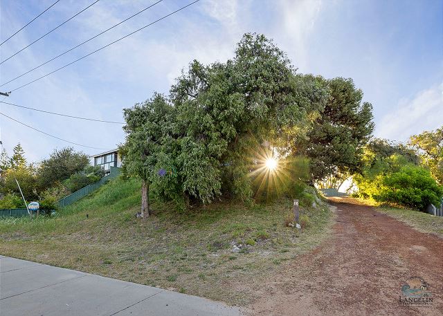 Garden path and trees at sunset