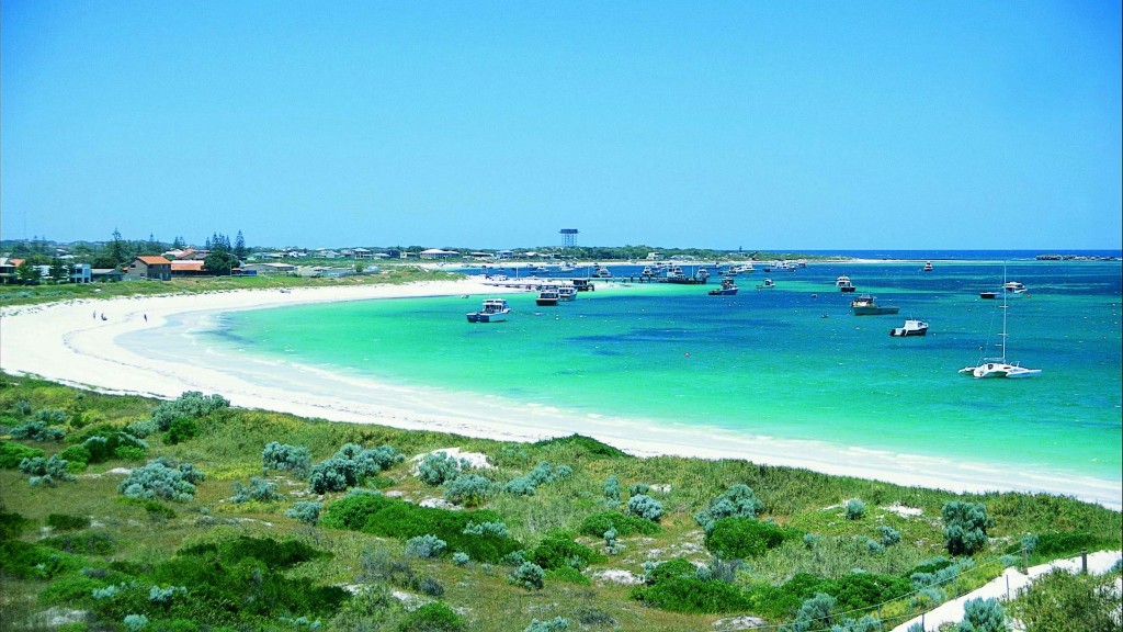 Bay Life & Blue Water