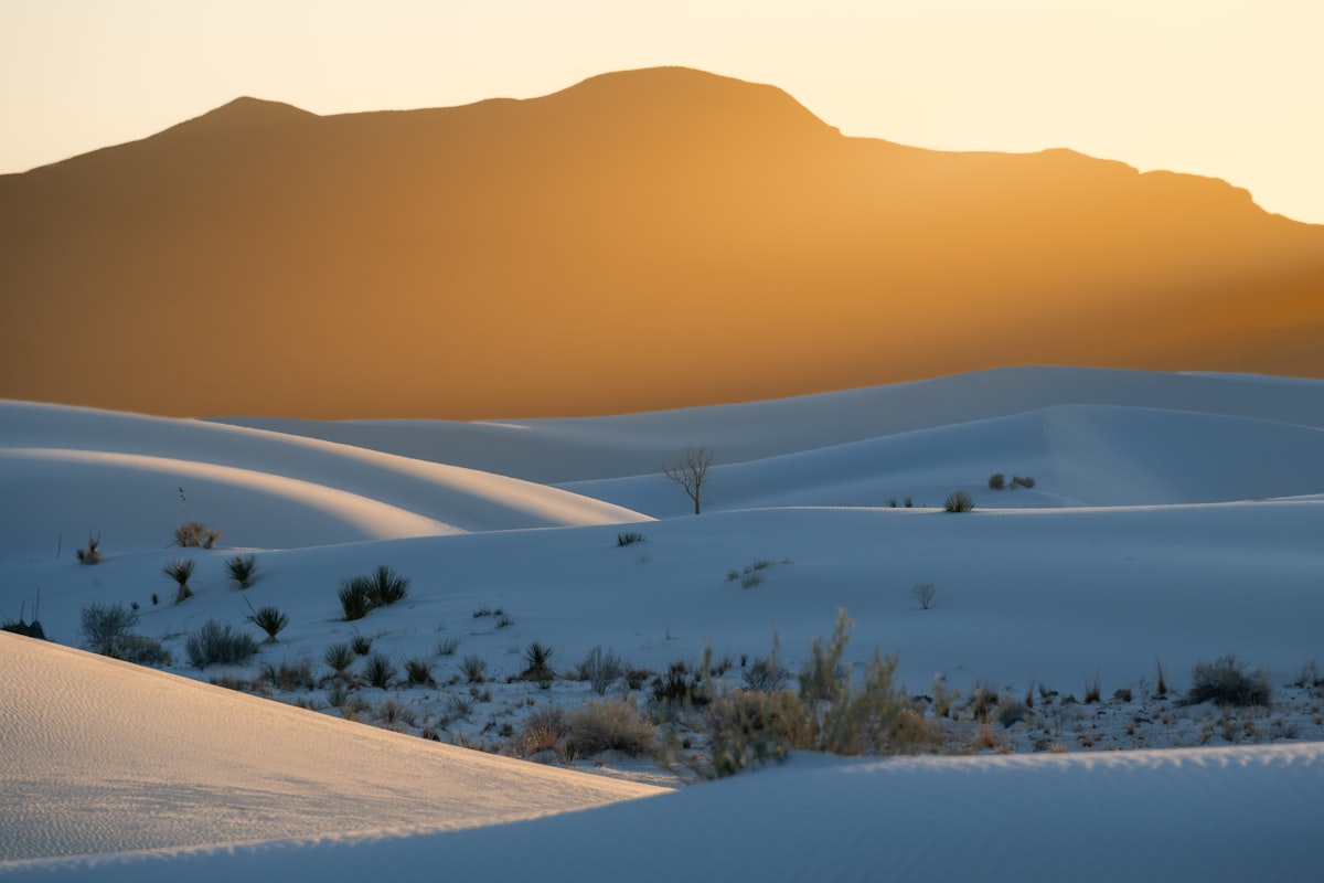 Golden sunset light across sand dunes