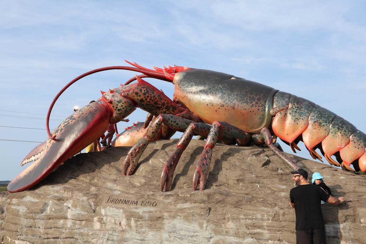 Western rock lobster